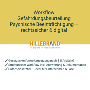 ERFOLGSPAKET #9 -  Workflow Gefährdungsbeurteilung Psychische Beeinträchtigung (PDF & Link) - Einmalnutzung [Digital]